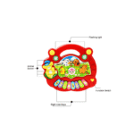 animal piano buttons and music keys