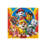 Paw Patrol puzzle set age 5 plus