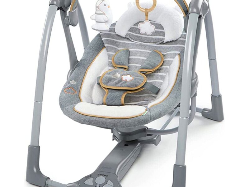 Ingenuity Boutique Swing N Go Portable Swing
