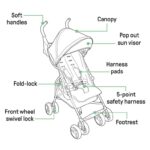 Summer by Ingenuity 3D Mini Convenience Stroller - Image 5